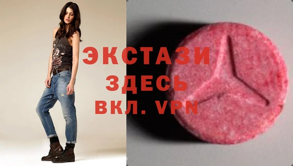 дживик Тайга