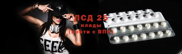 стафф Волоколамск