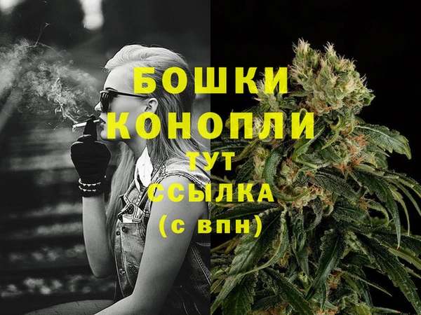 дживик Володарск
