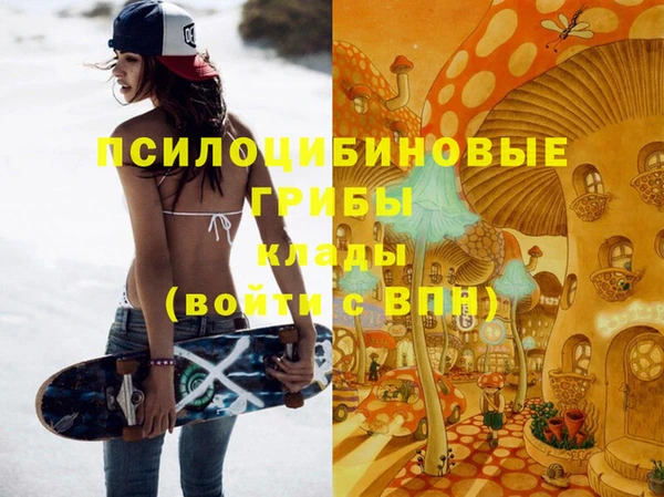 ГАЛЛЮЦИНОГЕННЫЕ ГРИБЫ Верея